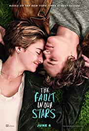 The Fault in Our Stars 2014 Hindi Subtitles 480p FilmyMeet